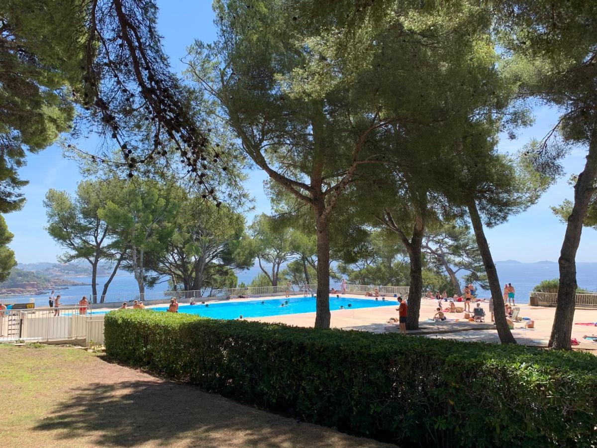 Horizon Bleu Bandol : Appartement Pieds Dans L'Eau 外观 照片